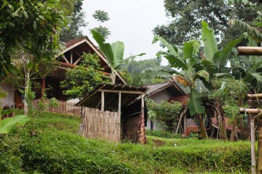 Batı Java Endonezya 'da evler ve yeşilliklerle geleneksel köy sahnesi