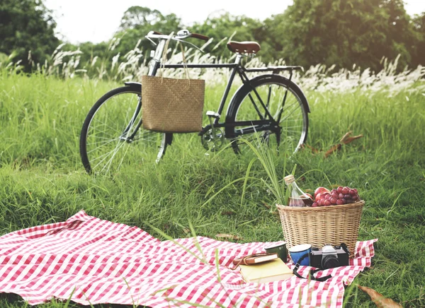 Kosz piknikowy na koncepcję wakacji — Zdjęcie stockowe