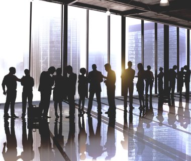 profesyonel iş takım