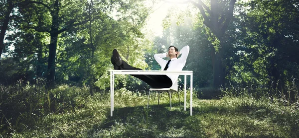 Businessman Working in nature — Stock Photo, Image