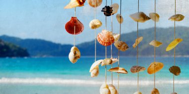 Yaz Adası ve deniz kabuklarını