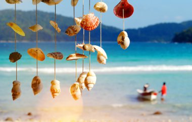 Yaz Adası ve deniz kabuklarını