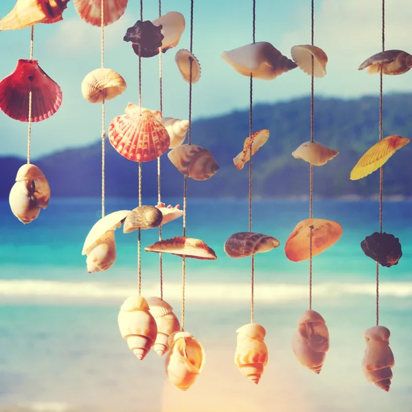 Ilha de verão e Seashells — Fotografia de Stock