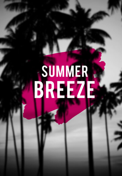 Summer Season and palm trees 