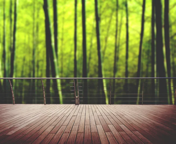 Floresta de bambu na China — Fotografia de Stock