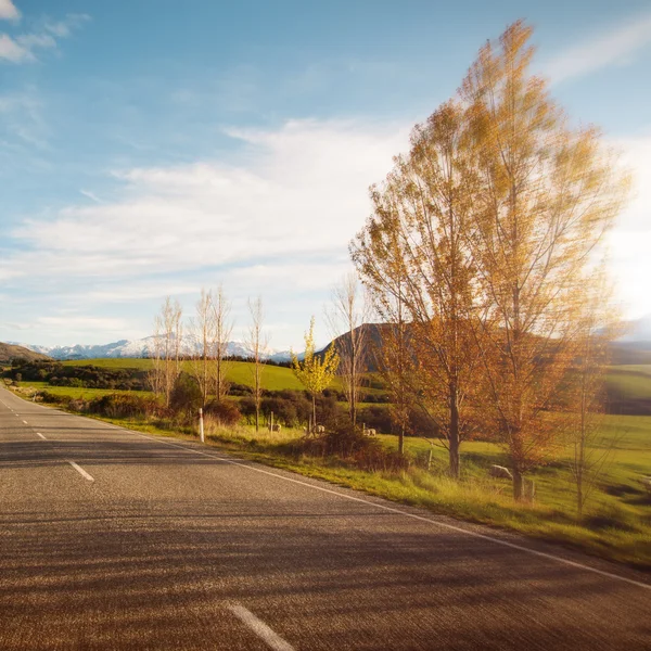 Camino Tranquil Escena Carretera Concepto — Foto de Stock