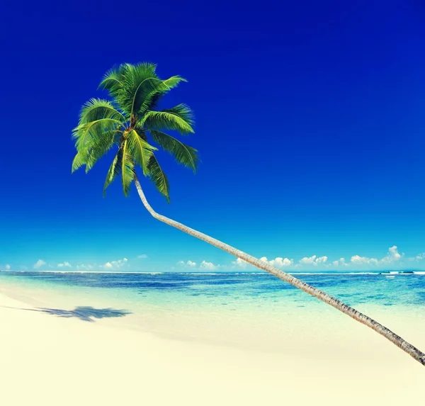 Verão e ilha tropical — Fotografia de Stock