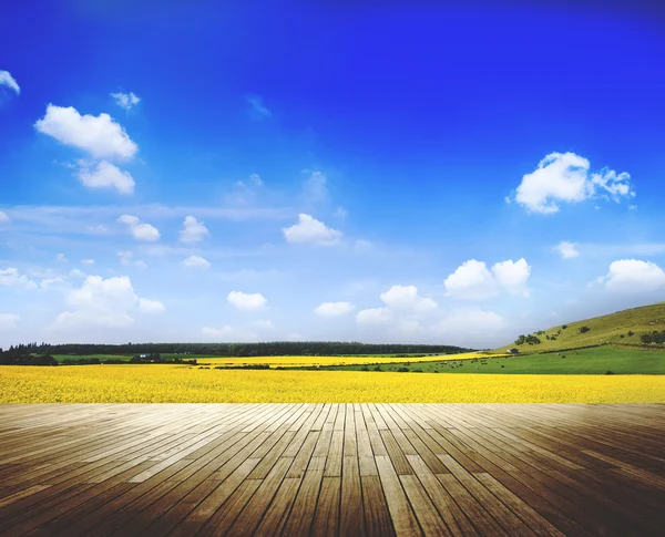 Vacker rofylld natur — Stockfoto