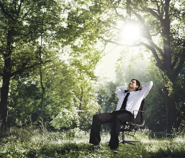 Businessman Relaxation in nature — ストック写真