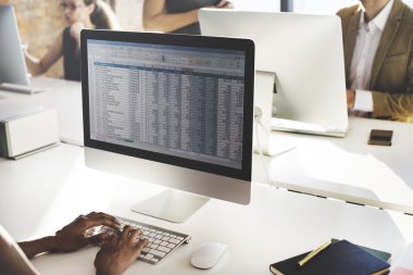 bilgisayar ekranında elektronik tablo ile