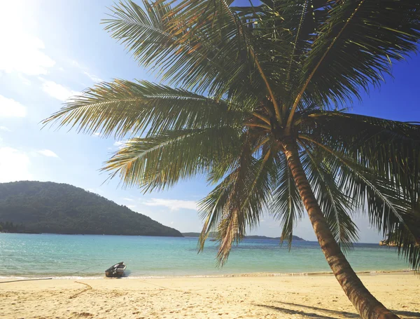 Sommer tropische Insel und Palmen — Stockfoto