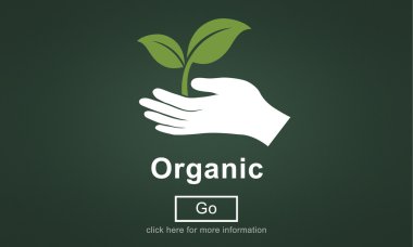 Organik konsepti ile şablonu