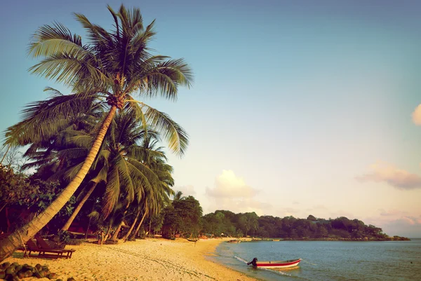 夏季热带岛屿与棕榈树 — 图库照片