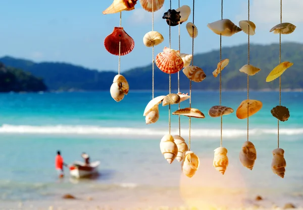 夏の島と貝殻 — ストック写真