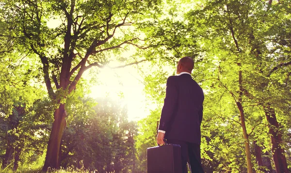 Geschäftsmann mit Koffer im Wald — Stockfoto