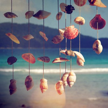 Yaz Adası ve deniz kabuklarını