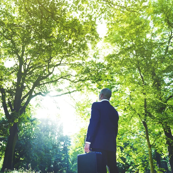 Geschäftsmann steht im grünen Wald — Stockfoto