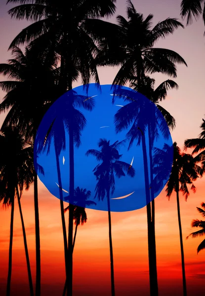 Silhouette Coconut Palm Tree — Stockfoto