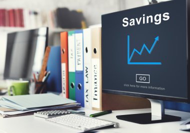 Tasarruf bütçe kavramı