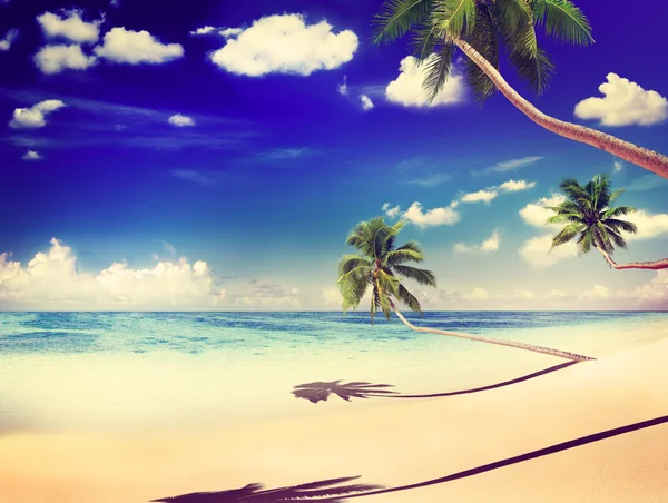 Summer and Tropical island — Stock Photo, Image