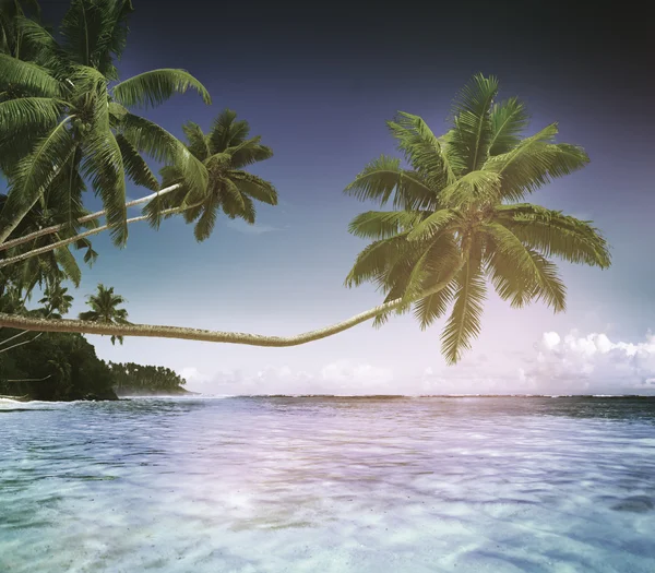 Summer and Tropical island — Stock Photo, Image