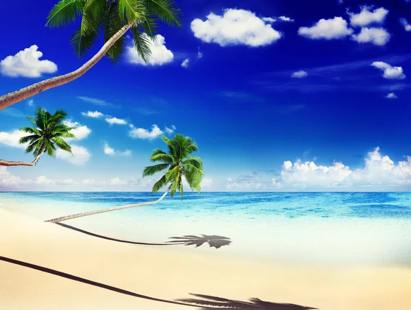 Sommaren och tropisk ö — Stockfoto