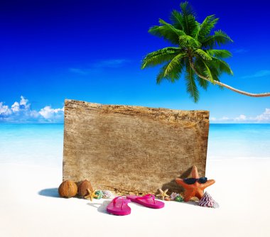 Deniz yıldızı terlik tropikal kavramı