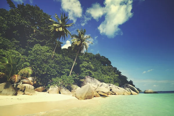 Letní Tropical Island a dlaně — Stock fotografie