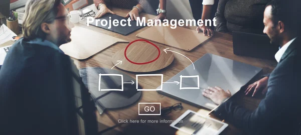 Team arbeitet mit Projektmanagement — Stockfoto