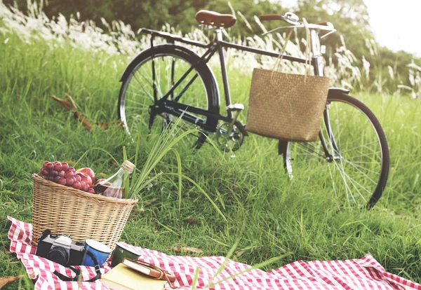 Kosz piknikowy na koncepcję wakacji — Zdjęcie stockowe