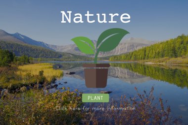 Dağlarda sakin göl