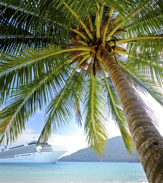 Sommer tropische Insel und Palmen — Stockfoto