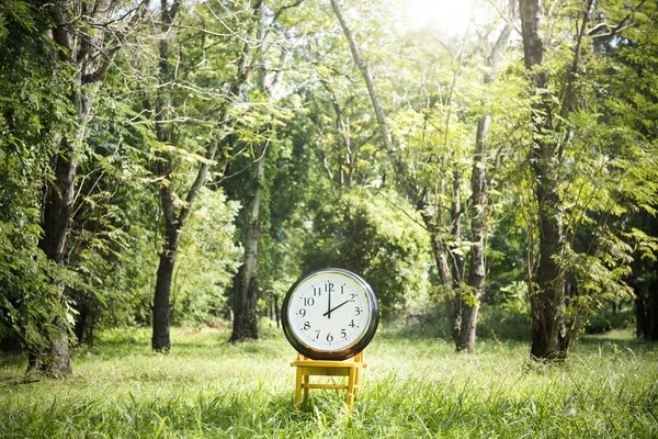 Uhr auf Stuhl im Freien — Stockfoto