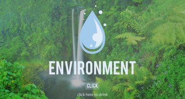 Yeşil Ormanlarda şelale