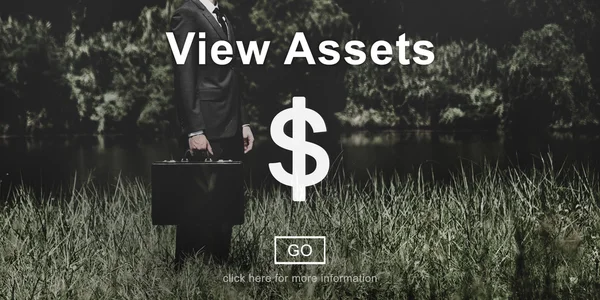 Ver concepto de activos —  Fotos de Stock
