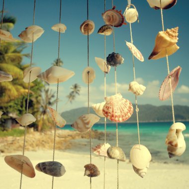 Yaz Adası ve deniz kabuklarını