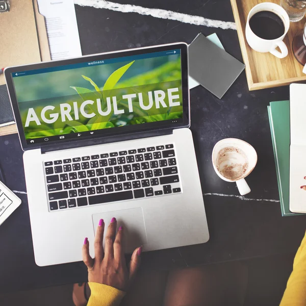 Laptop com conceito de agricultura — Fotografia de Stock