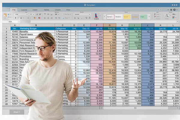 businessman working with spreadsheet