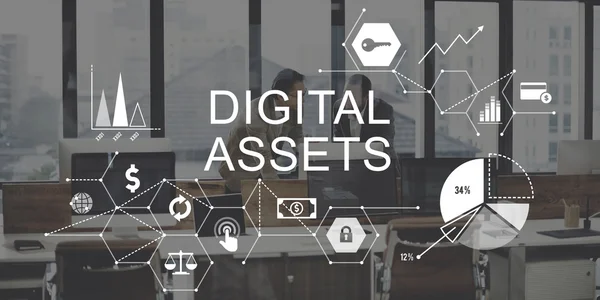 Kollegen diskutieren und digitale Assets — Stockfoto