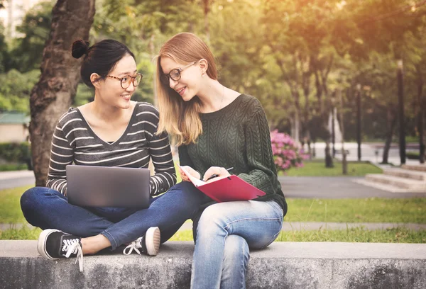 Mujer Studying Concept — Foto de Stock