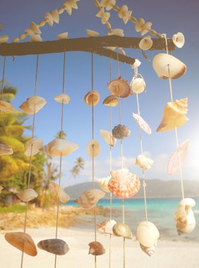 Yaz plaj ve avuç içi