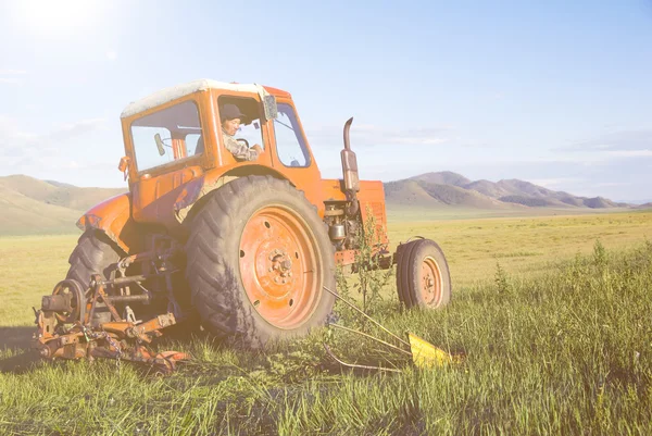 Tractor Harvesting field — Stock Photo, Image