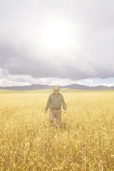Man standing in field — Stock Photo, Image