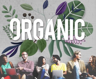 Organik duvarla çeşitlilik arkadaşları