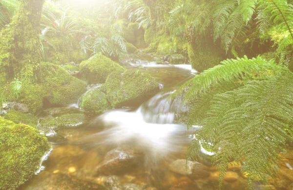 Cachoeira em cascata com rochas — Fotografia de Stock