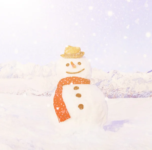 Vero pupazzo di neve in sciarpa e cappello — Foto Stock