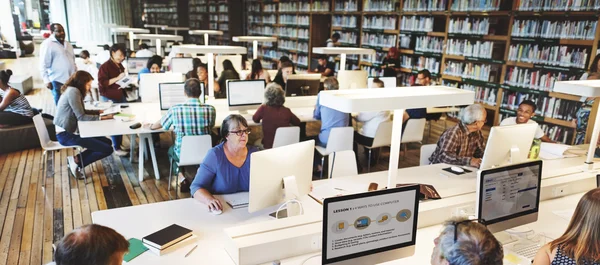 Volwassen laatstejaarsstudenten in computer klasse — Stockfoto