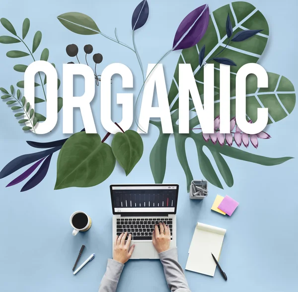 Laptop on table with organic — Stock Photo, Image
