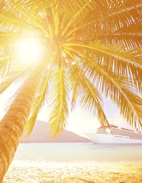 Zomer tropisch eiland en palmen — Stockfoto