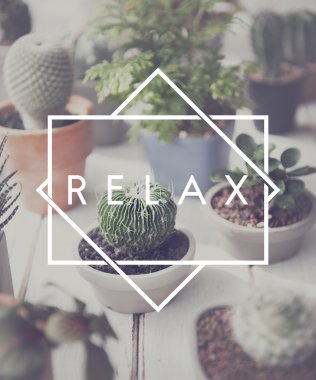 Masada yeşil bitkiler